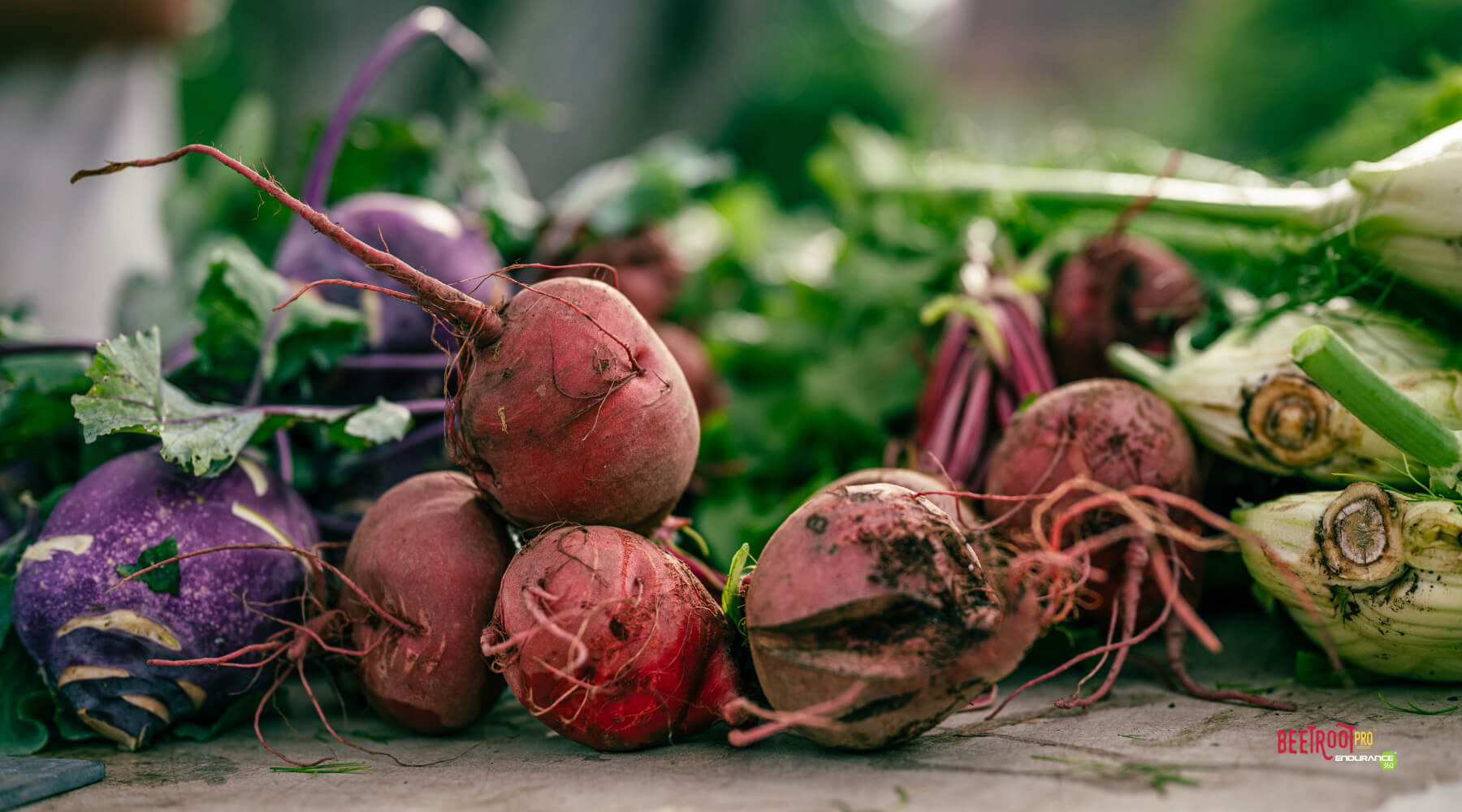 Benefits of hotsell beet root powder