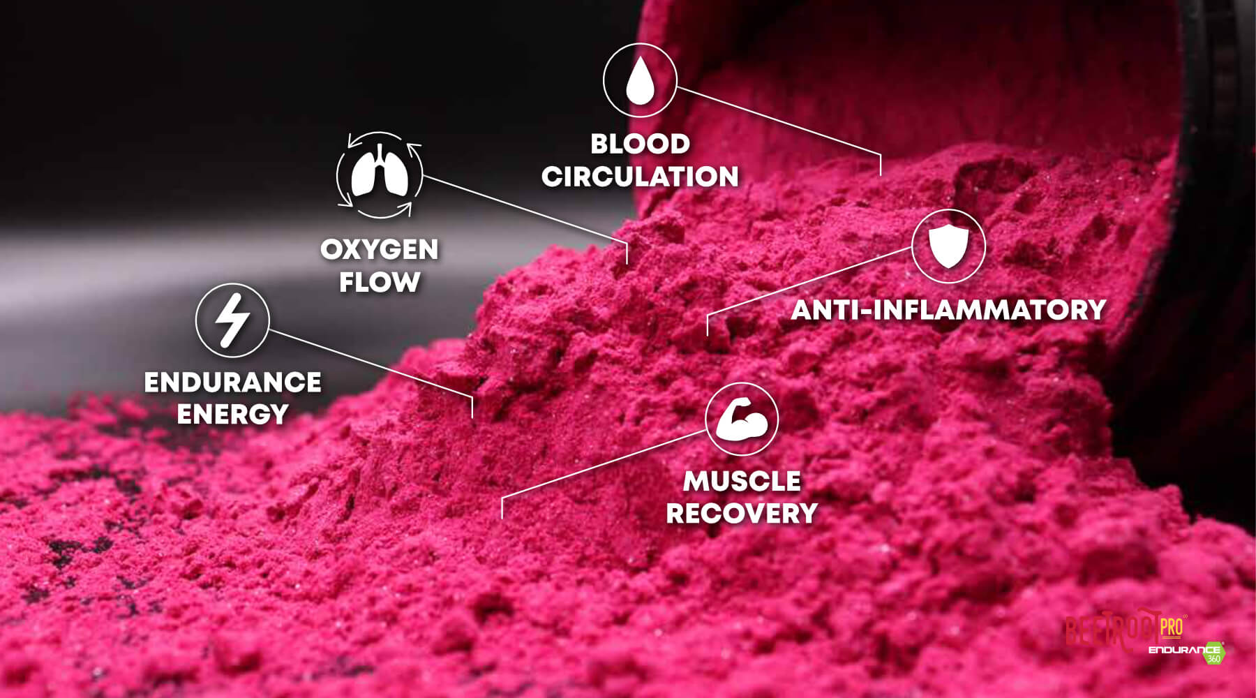 Beet Root Powder Health Benefits - Beetroot Pro® & Endurance360® Official Store