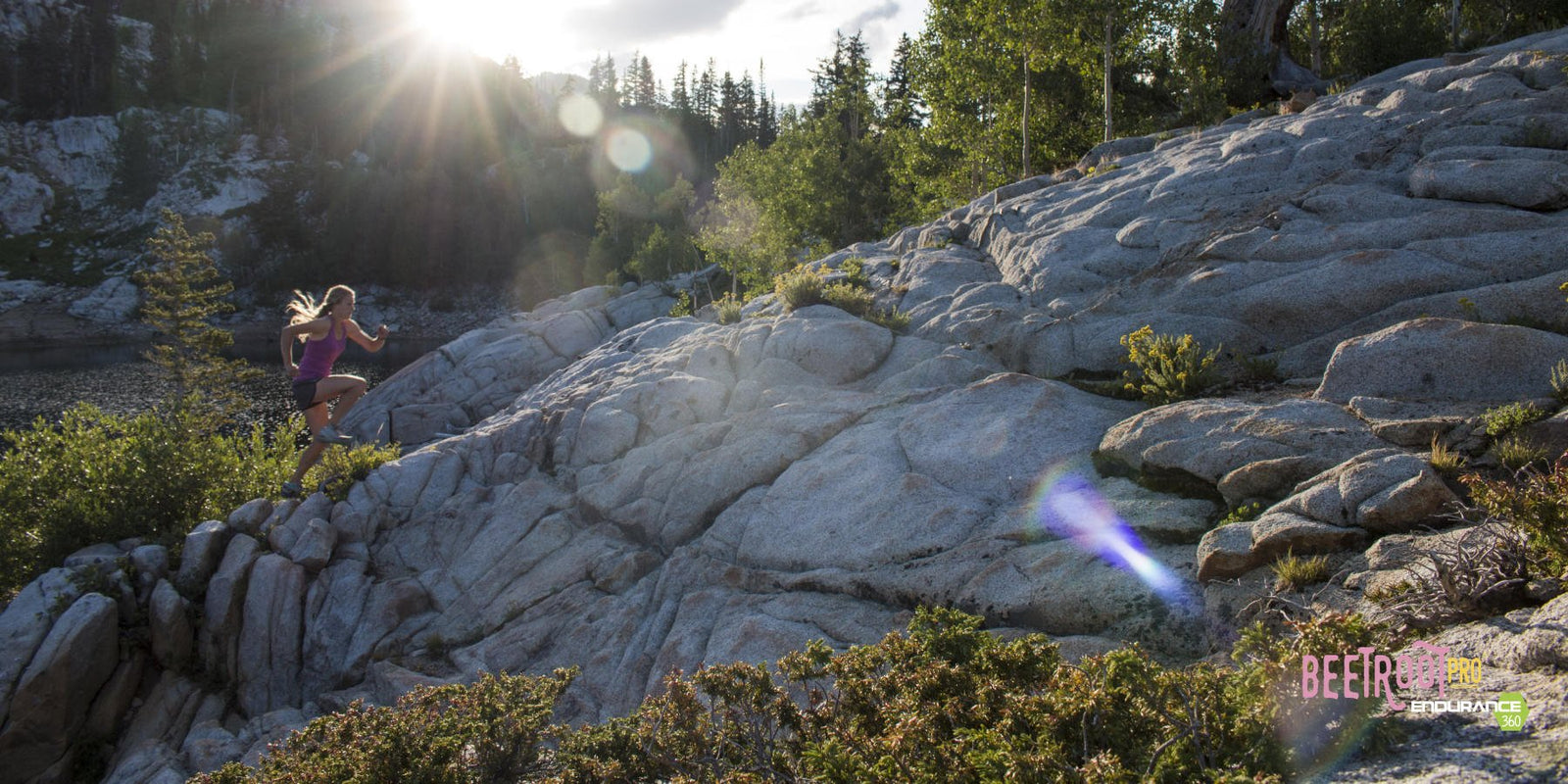 Newest Body Fuel Drink: Beetroot Pro Pink Lemonade Workout Sports Drink - Beetroot Pro® & Endurance360® Official Store
