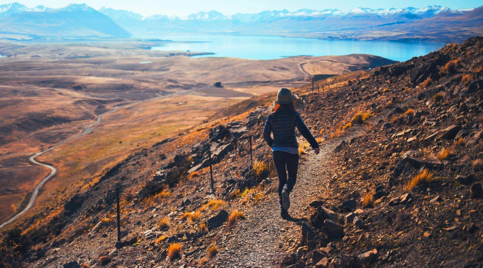 New Beet Juice Research with Well Trained Athletes - Beetroot Pro® & Endurance360® Official Store